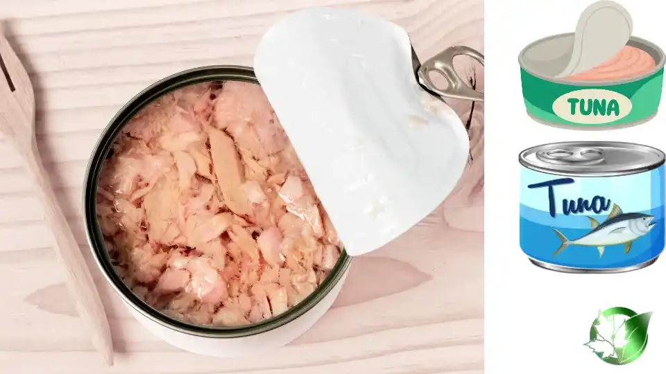 Wholesale packaging for Canned Tuna can be planned for grocery retail, food-service operations, private-label, or industrial-scale distribution.